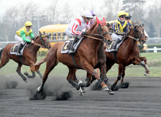 Diaporama de Pr�sentation